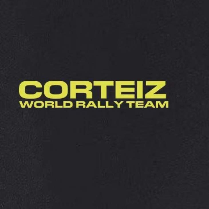 Corteiz Hoodies _SKUCorteizS-2XLastxC20162278